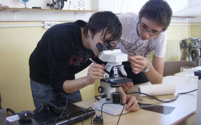 Gorjul, reprezentat de doi elevi la Olimpiada Națională de Științe pentru Juniori