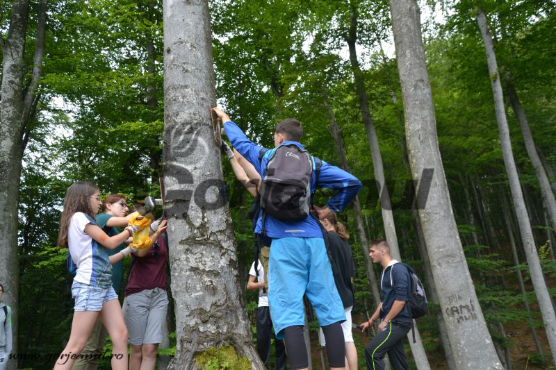 15 tineri, în tabăra montană organizată de White Wolf