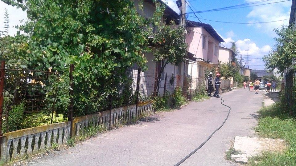 13940905_721612827976525_1269878216_n