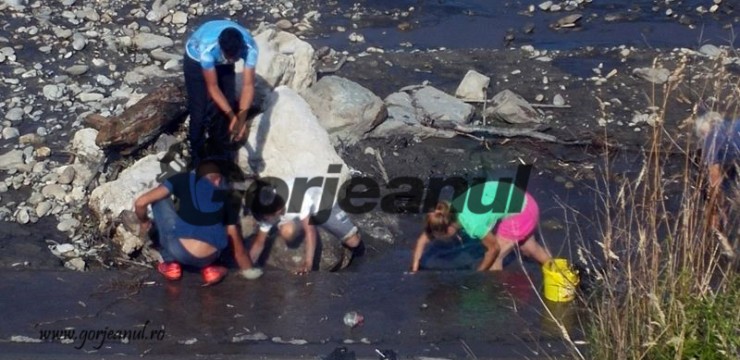 Barajele de pe Jiu, golite de Hidroelectrica “legal”!