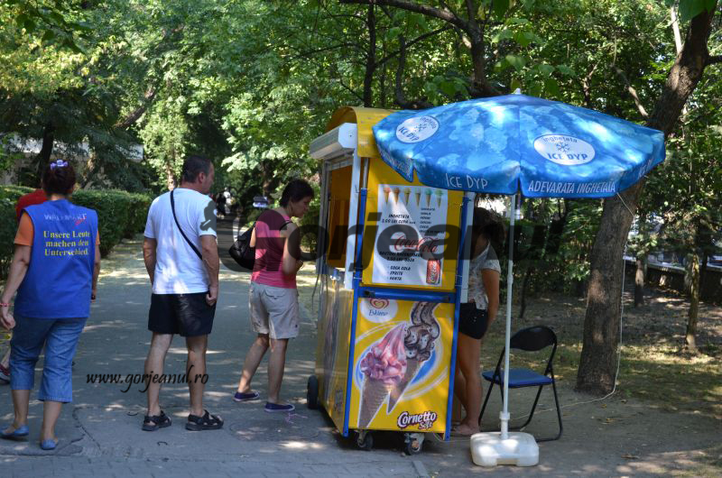 Municipalitatea ia măsuri anti-caniculă