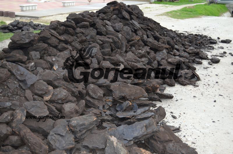 Cota de cărbune, prinsă în CCM