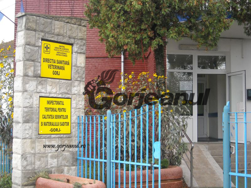 Angajări la Direcţia Sanitar-Veterinară