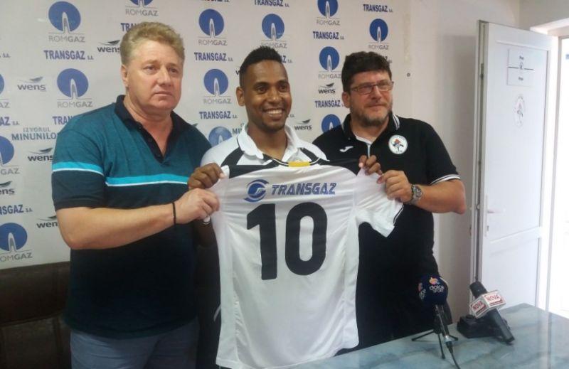 fosti panduri medias