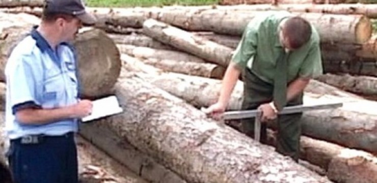 Razie în Târgu-Jiu: Amenzi uriașe la depozitele de lemne