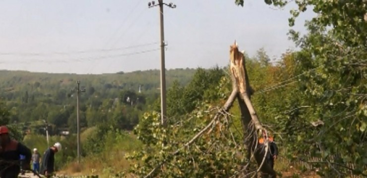 Pădurar din Târgu-Jiu, anchetat în urma unui furt