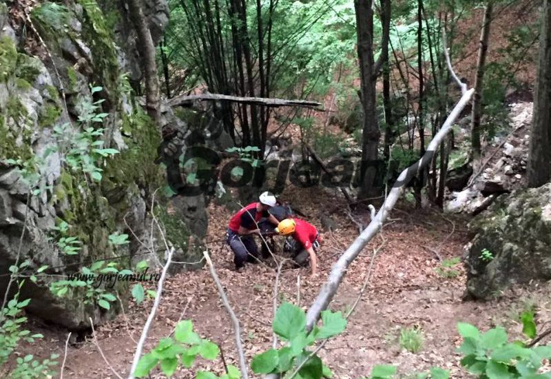 Sexagenar din Stănești, găsit decedat în munți
