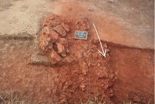 Cercetări extinse la Stoina