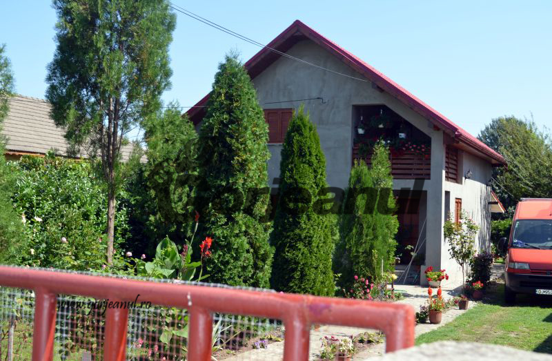 Autoritățile din Turcinești sar în ajutorul proprietarilor trași în piept de fostul funcționar Voinea