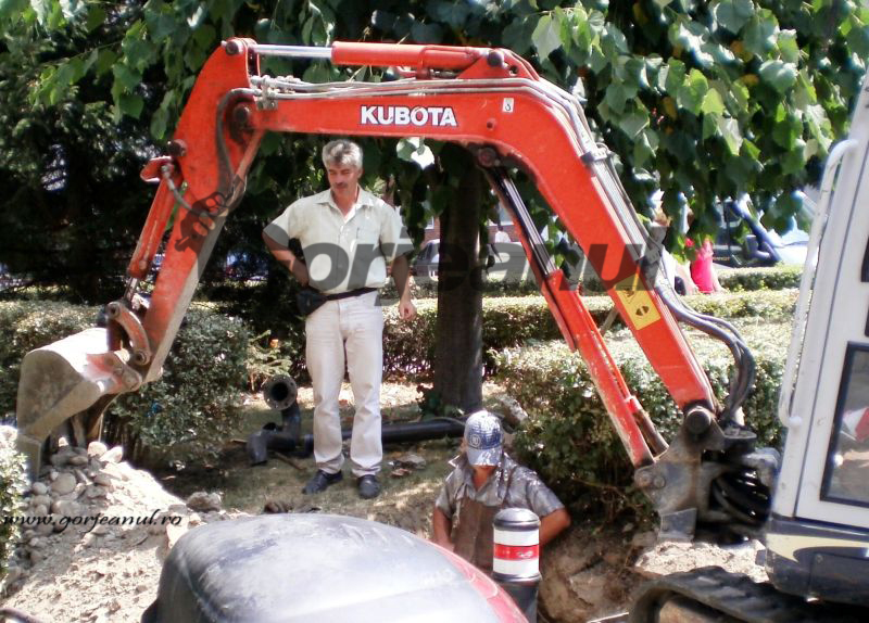 Obsesii autumnale – Protecţia hidranţilor stradali – o atitudine sau o necesitate ?