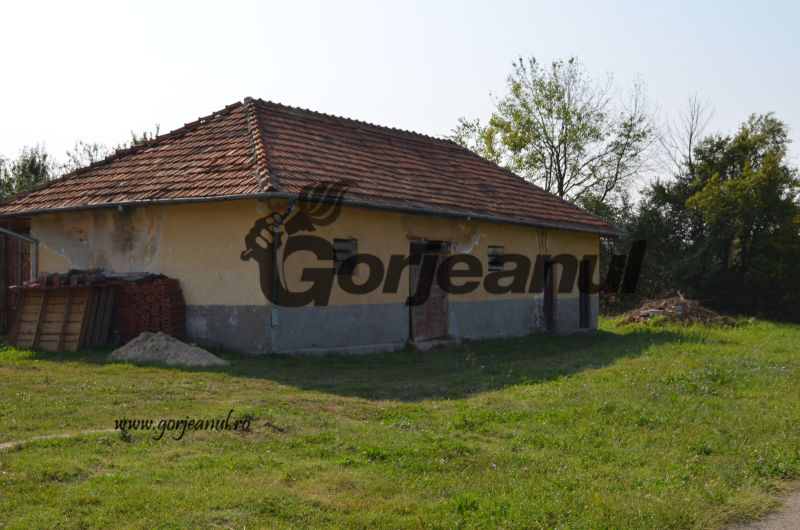 Modernizare blocată pentru o școală autorizată sanitar