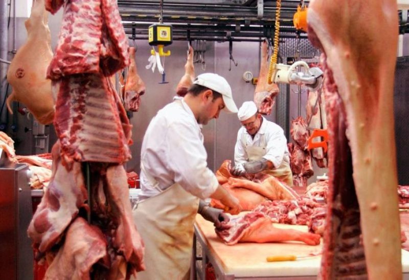 Joburi de măcelari şi asistenţi medicali, vacante în afara ţării