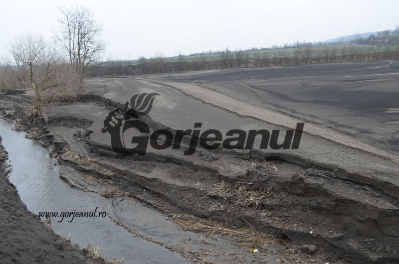 În greva foamei pentru un teren aflat sub groapa de cenușă de la Ceplea