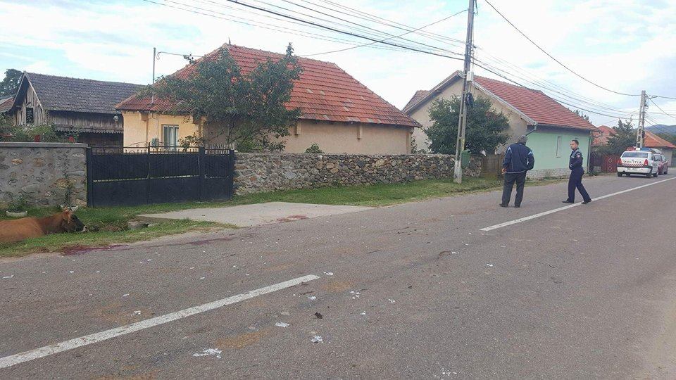 Fiul viceprimarului din Runcu, implicat în accident la Bâltișoara