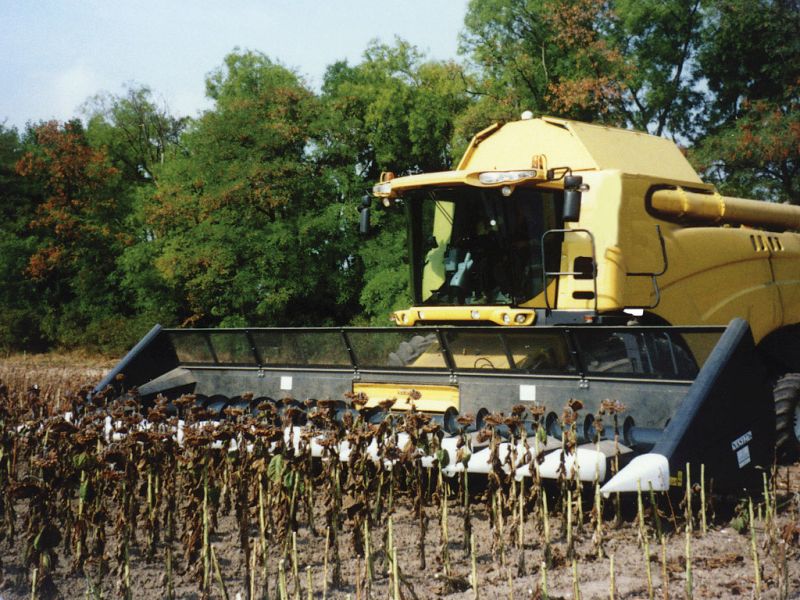 Ultimele veşti despre stadiul culturilor din Gorj