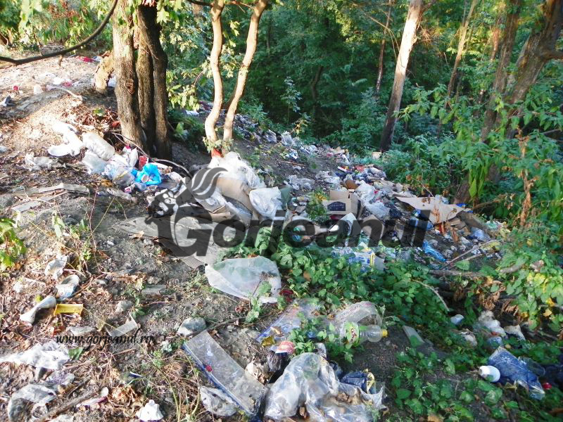 Gunoaie peste parapet, pe Bujorăscu