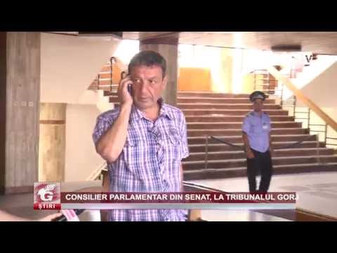 CONSILIER PARLAMENTAR DIN SENAT, LA TRIBUNALUL GORJ