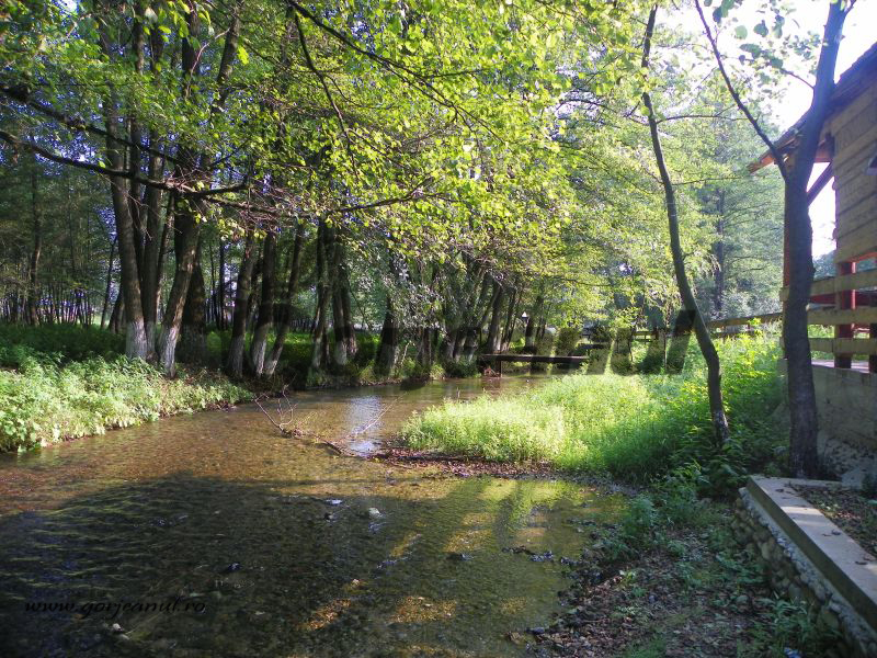 Popasuri autumnale – Ţinutul „bolboroaselor”