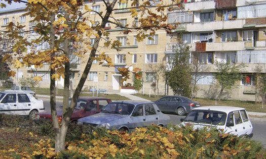 S-a dat drept administrator de asociație ca să pună mâna pe bani