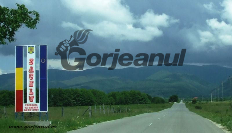 Comportament lăudabil