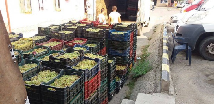 Peste o mie de kilograme de struguri, confiscate de polițiști