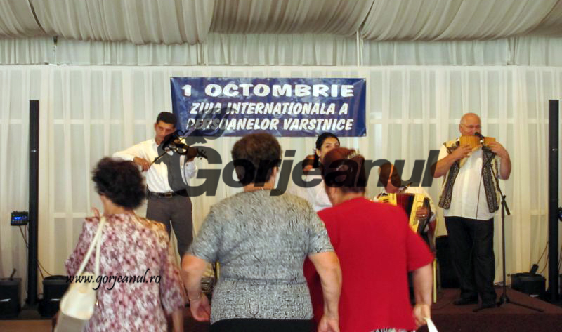 Ziua Vârstnicilor, sărbătorită în avans la Târgu-Jiu