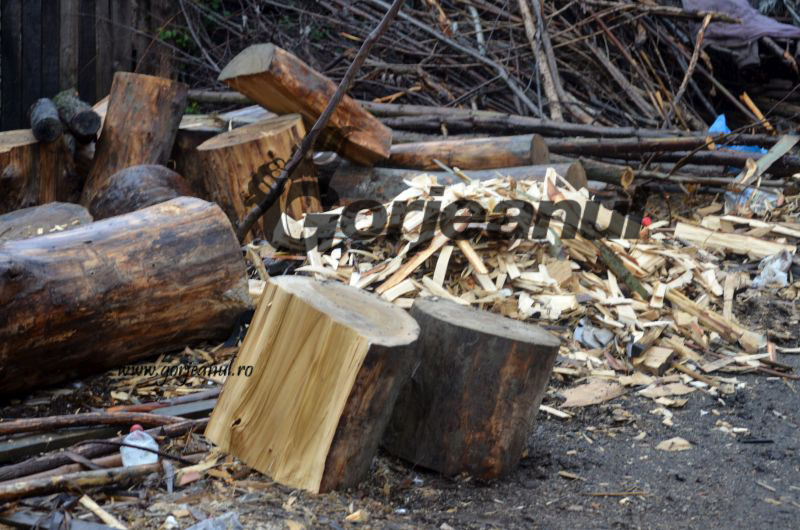 Se întâmplă în școlile din Bolboși: Buturi în loc de scaune, pentru elevii Școlii Primare Ohaba-Jiu