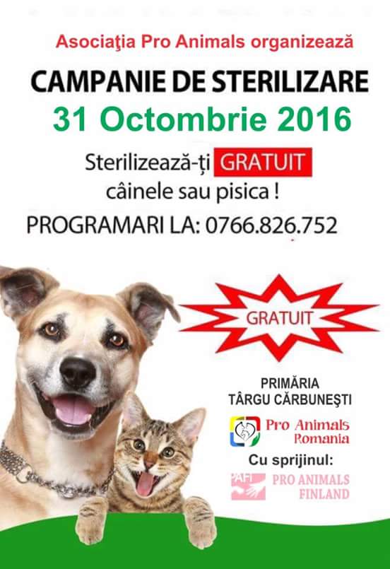 FB_IMG_1477653487767