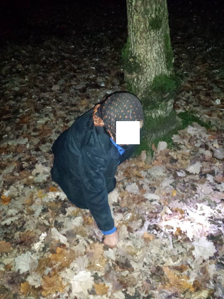 Bătrână rătăcită în pădure: Jandarmii i-au salvat viața