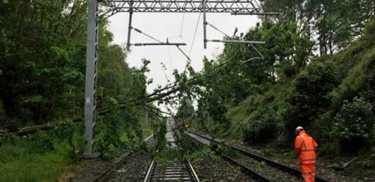 Circulaţia trenurilor perturbată după ce pe calea ferată au căzut copaci
