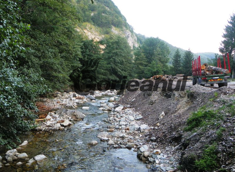 Numai în ultimul trimestru / Comisarii de mediu au aplicat sancţiuni de 169.500 de lei