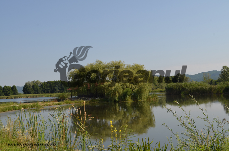 Furt din lacul afaceristului Iordache: Unuia dintre reținuți i-a botezat copilul