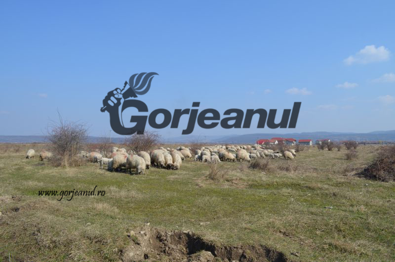 APIA eliberează adeverinţe pentru beneficiarii Măsurii 215