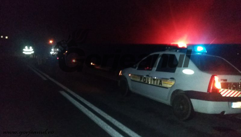 Un polițist beat s-a răsturnat cu mașina în șanț