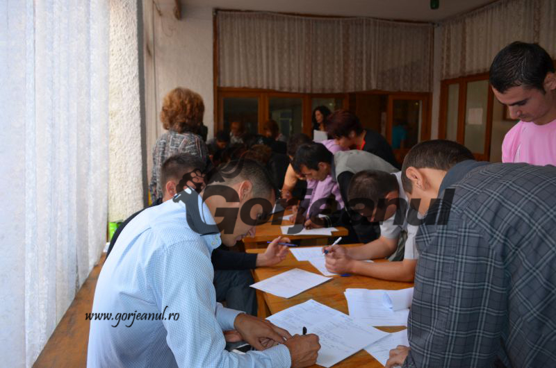 Acţiuni pentru combaterea şomajului