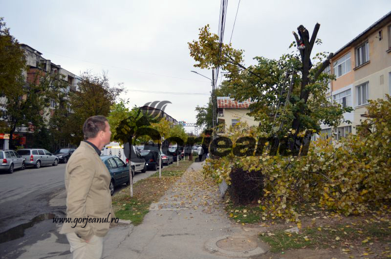 Primarul Birău a demarat noi investiții, în zona centrală a orașului Târgu-Cărbunești