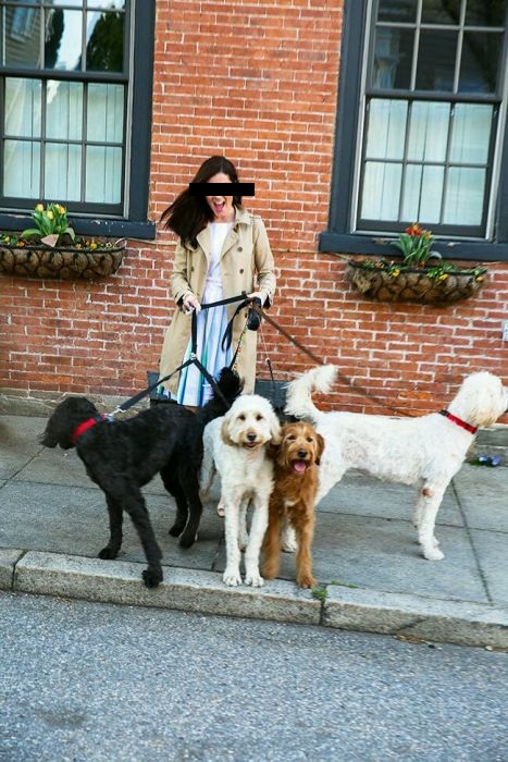 Anunț trăsnit: 15 lei, ora de plimbare cu câinele