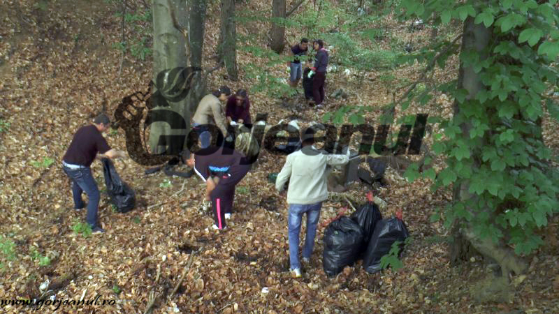 Gorjul, în topul județelor cu cei mai activi voluntari