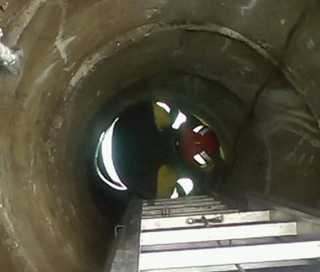 Pompierii, chemați să salveze un câine căzut în fântână