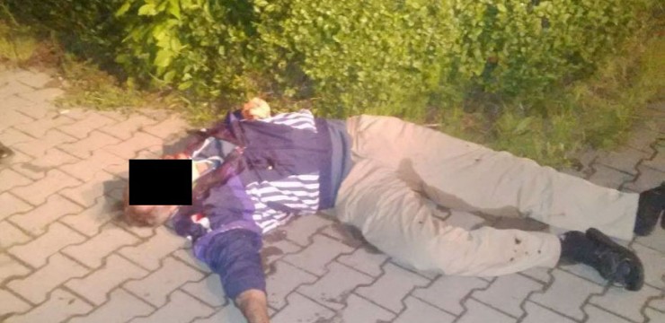 Daune morale de 80.000 de lei după crima din parc