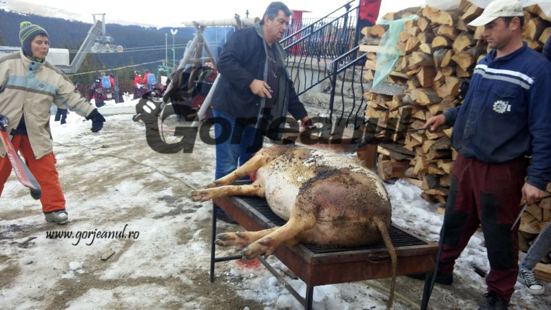 Pomana porcului și lăutari pentru turiștii din Rânca