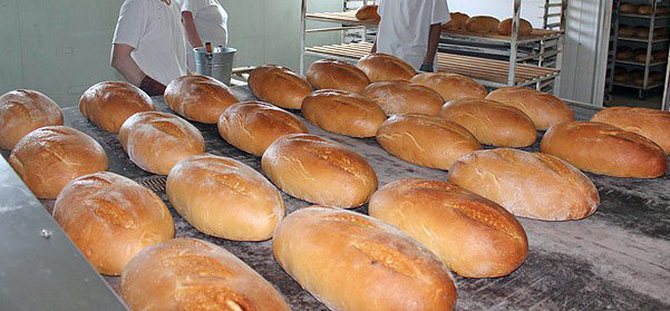 Activitate suspendată şi nenumărate amenzi pentru unităţile alimentare