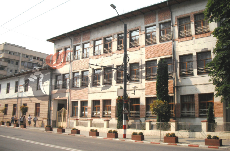 Încep olimpiadele pentru elevii pasionați de limba română și limba latină