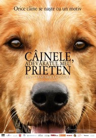A Dog’s Purpose (2017) Câinele, adevăratul meu prieten – 14:00