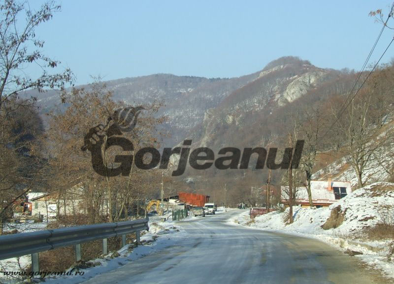 Popasuri hibernale – Borzii din şuşiţa – fascinaţia lumii lui Hades