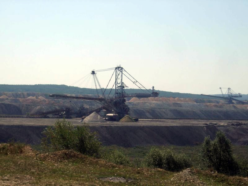 CEO plantează salcâmi pe o haldă a SE Rovinari