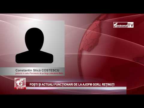 FOȘTI ȘI ACTUALI FUNCȚIONARI DE LA AJOFM GORJ, REȚINUȚI