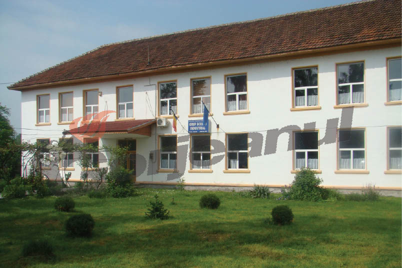 Profesoară trimisă în judecată pentru trafic de influență