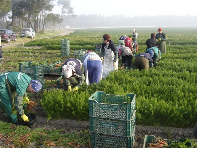 Sute de copii din Gorj cresc departe de părinţi
