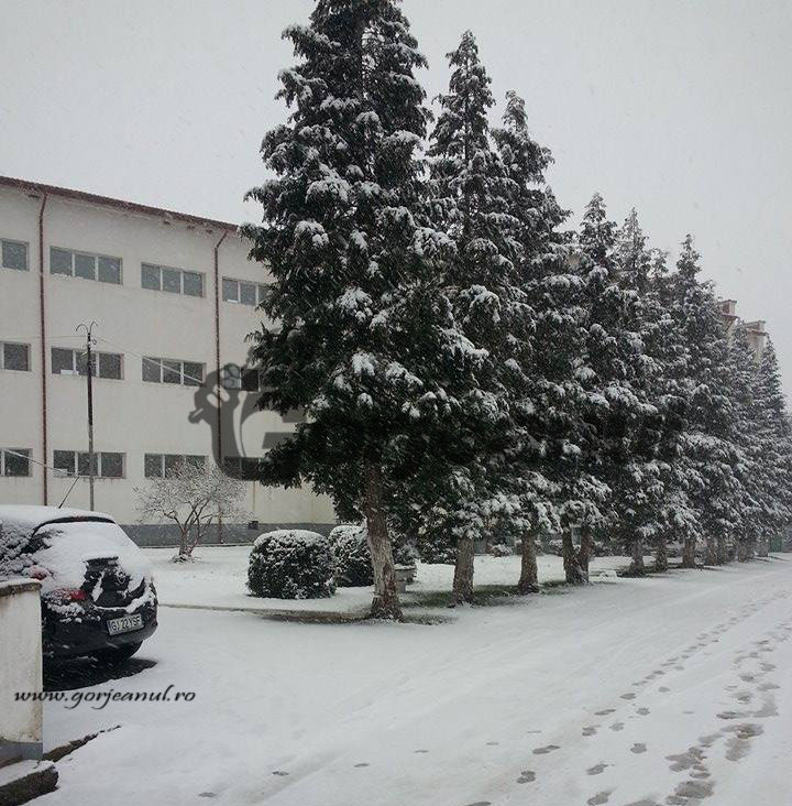 Se așteaptă un aflux de pacienți la Spitalul de Pneumoftiziologie